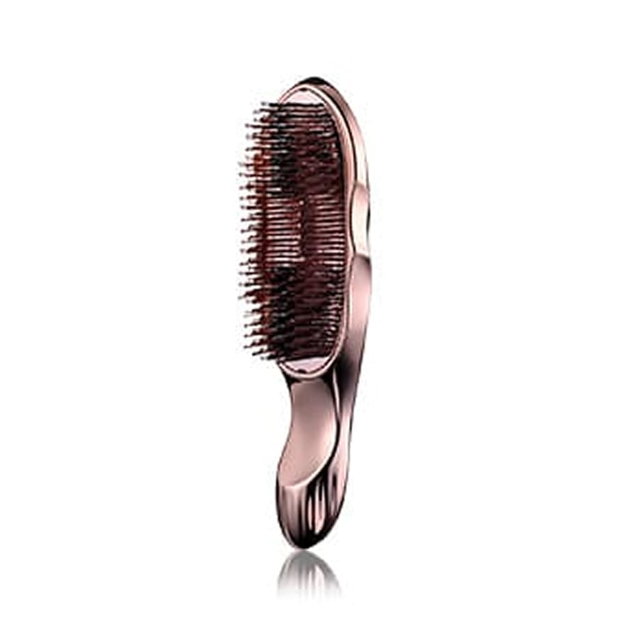 ReFa ION CARE BRUSH PREMIUM リファイオンケアブラシプレミアム