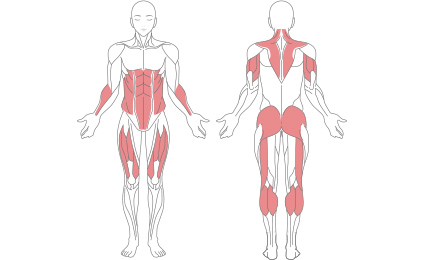 body mode