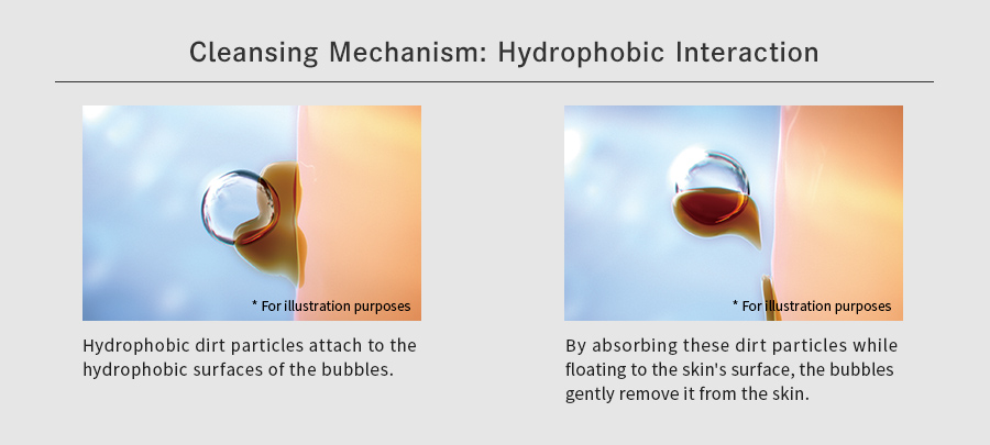 Cleansing Mechanism: Hydrophobic Interaction