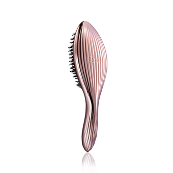 ReFa AILE BRUSH RAY