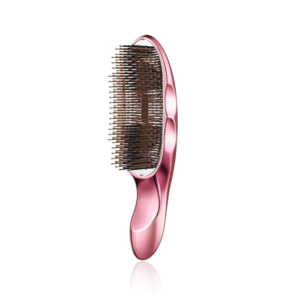 ReFa ION CARE BRUSH<br class="only-sp"> PREMIUM SE