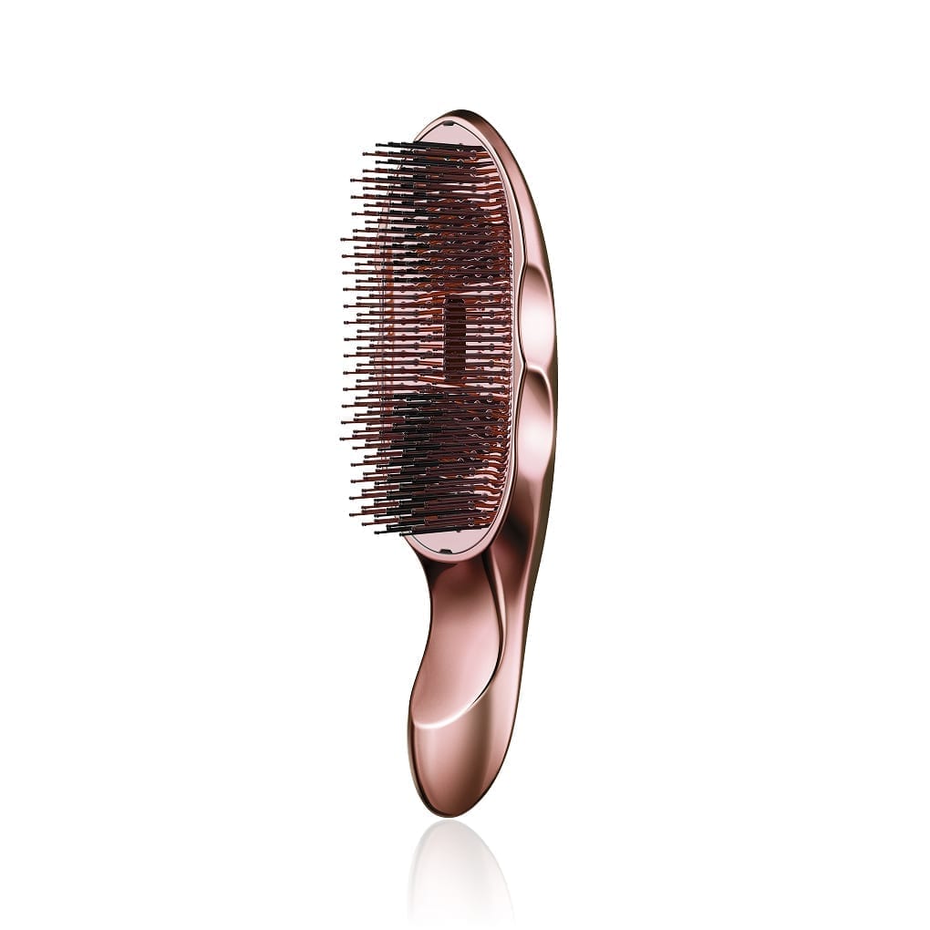ReFa ION CARE BRUSH<br class="only-sp"> PREMIUM SE