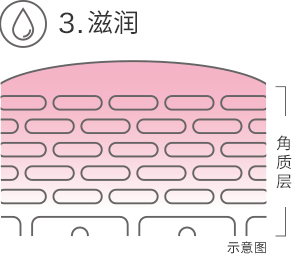 3.滋润