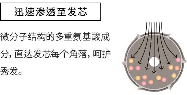 迅速渗透至发芯